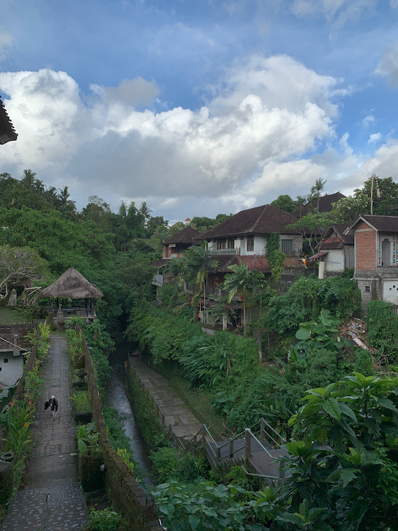 a small river with houses, greenery, and a little road next to it