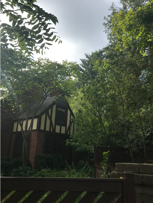 beautiful house on my street in Oberlin