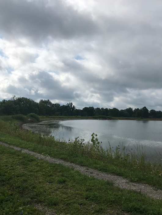 view of a pond at a nature preserve in Oberlin