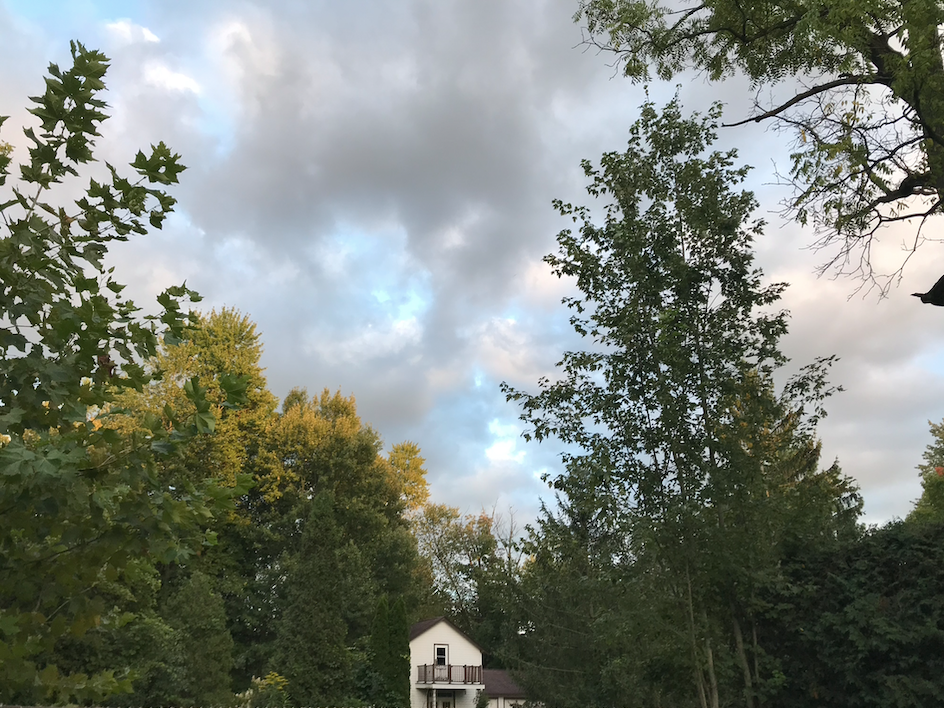 cotton-candy sky seen from my backyard