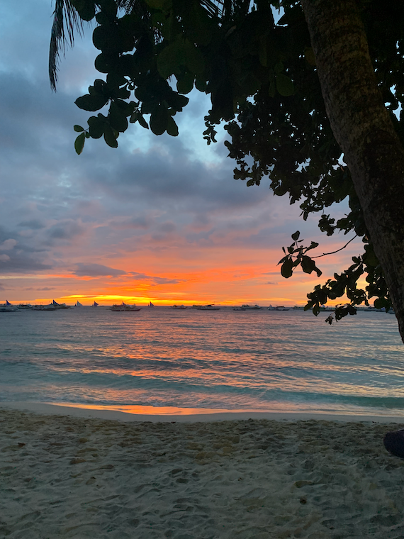 an orange sunset over waves and sand, with a tree in the foreground