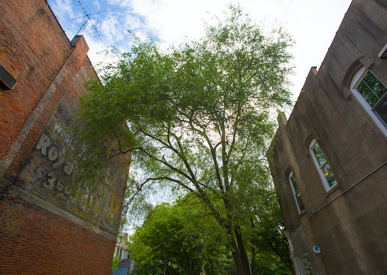 Two buildings in an alley, one with a large painted advertisement on it.