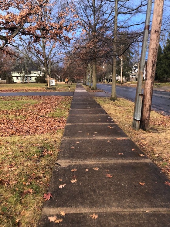 A sidewalk in Oberlin in the morning.