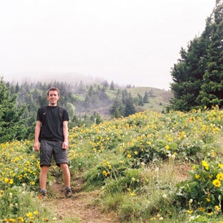 Brook in a field of wildflowers