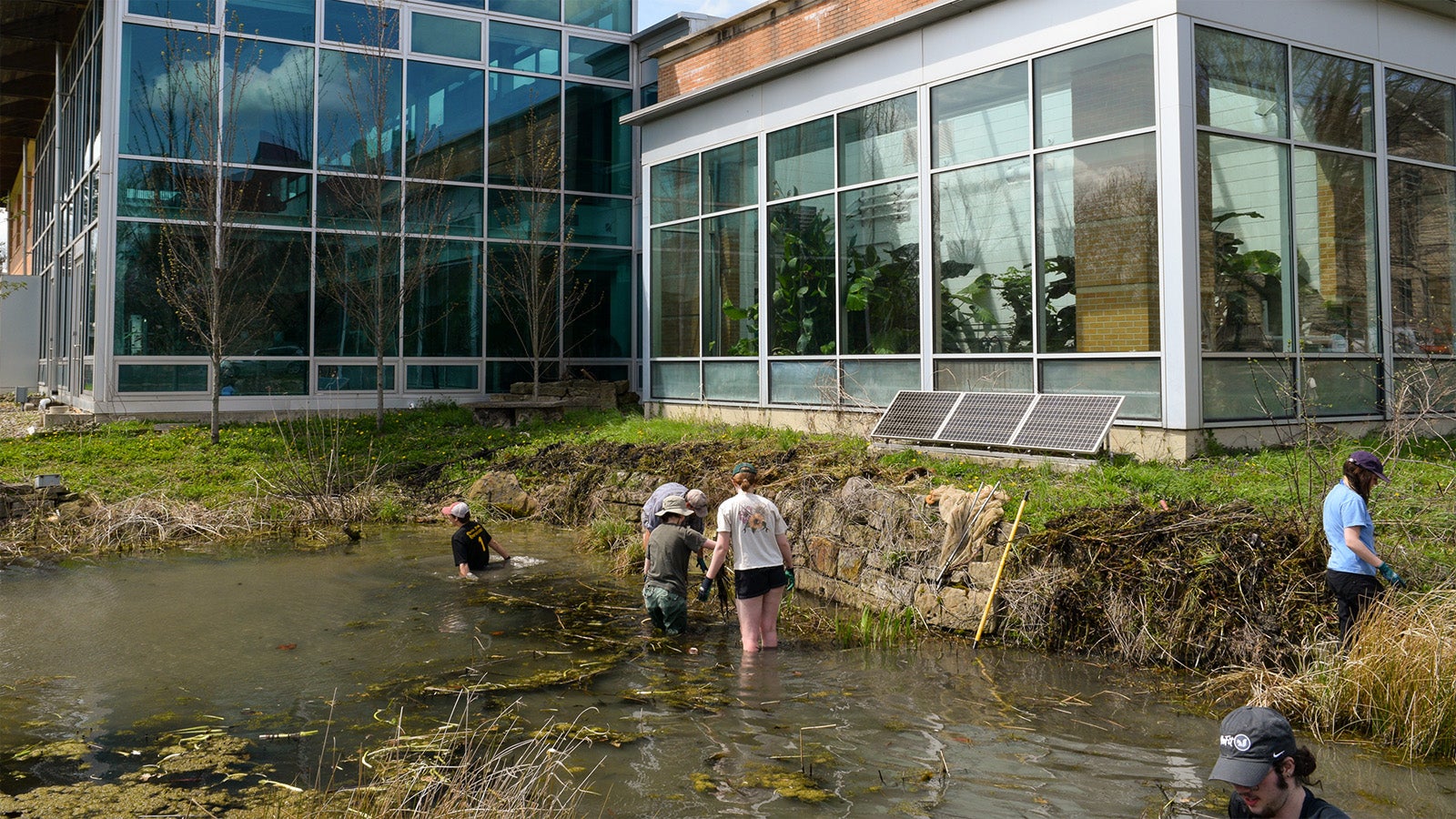 People wade in a small pond next to a modern glass and brick building.