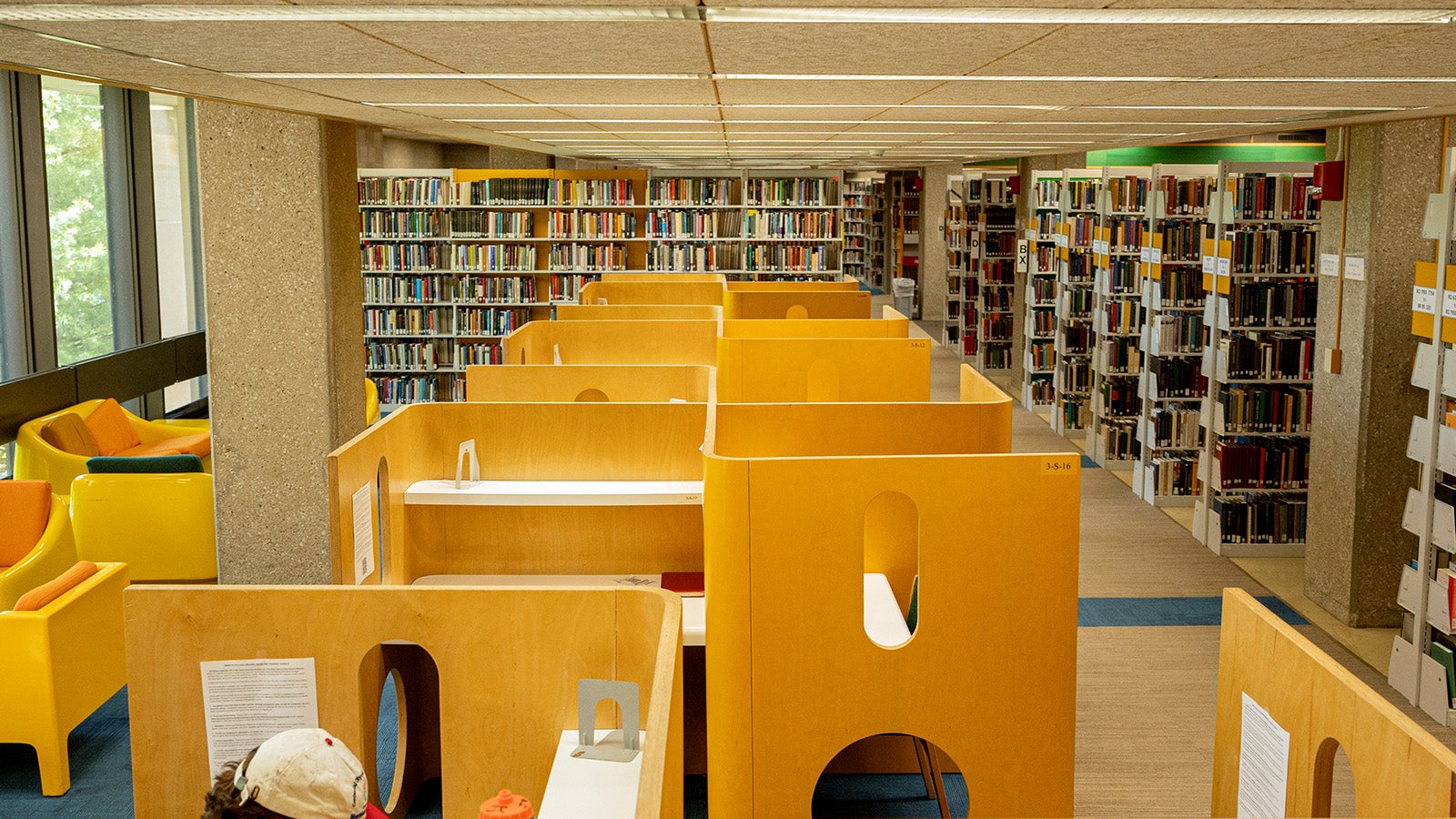 Study carrels and bookshelves in the library.