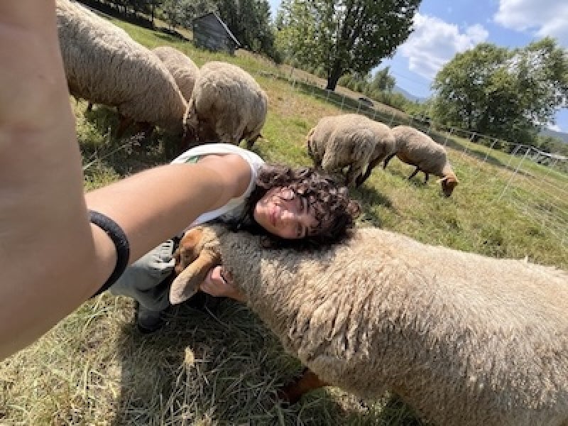 student with sheep