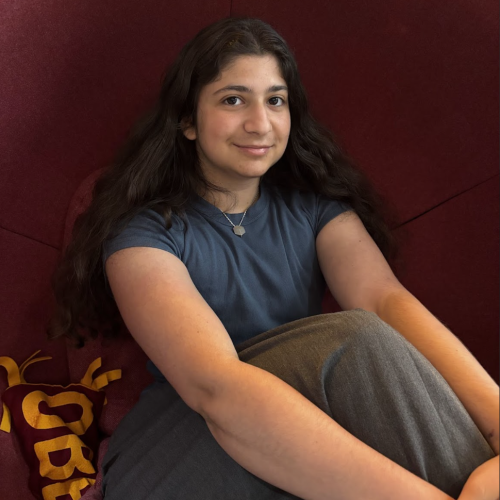 An Oberlin student with long dark hair sitting in a red chair.