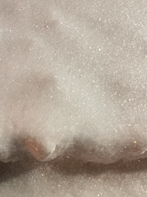 A picture of the glittery snow in Oberlin this Winter Term.