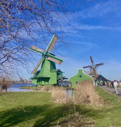 A row of green windmills