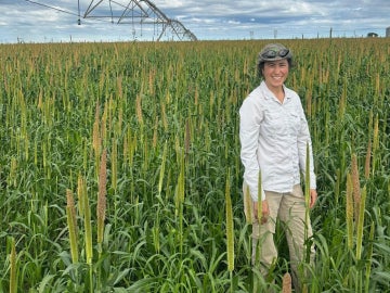 a person wearing a white shirt stands in a field of plants