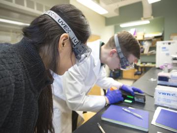 students delve deep into independent scientific research in the lab.