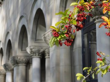 columns for administration building