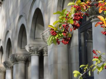 view of building with architectural columns