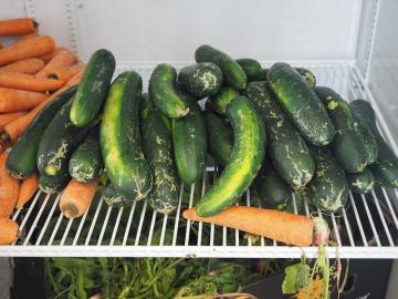 Cucumbers and carrots on a wire shelf