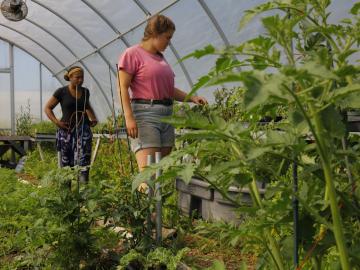 Two students attend to plants in the greenhouse.