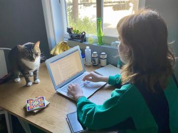student typing on a laptop with a cat by her side.