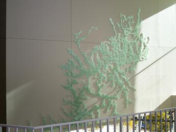 view of wall with vines growing on it 