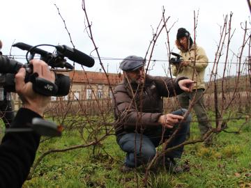 Film crew at a vineyard