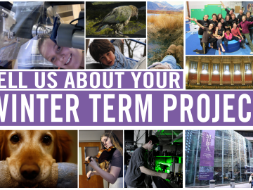 Tell us about your winter term project