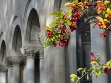 Stone building facade.
