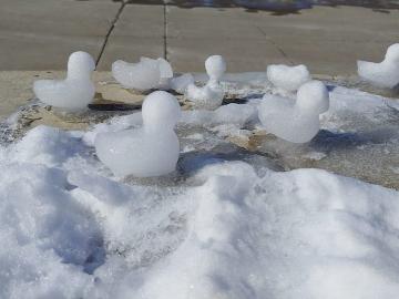 Seven small ducks shaped from snow on a cement pylon.