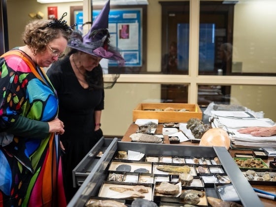 Two women dressed in colorful Halloween costumes look at a display drawer filled with fossils and rock specimens in a lab setting.