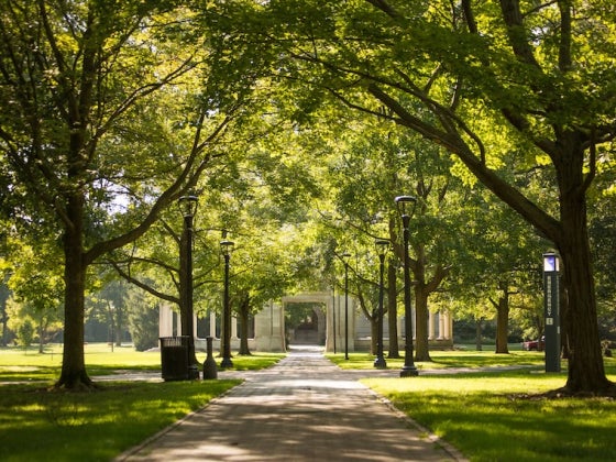 Tree-lined campus walkway leading toward a building.