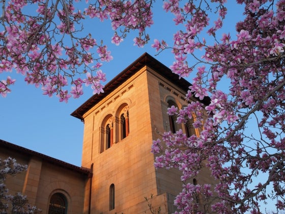 Oberlin College building framed by pink flowering tree branches against a blue sky.