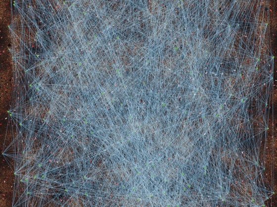 Research on wild fire preventation via ai modelling visualized by Nick Giammarco