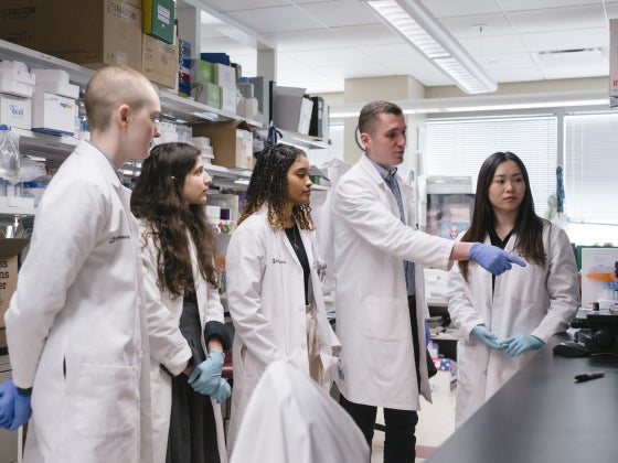 Oberlin students participate in a hands-on learning experience with a professional mentor in a laboratory setting.