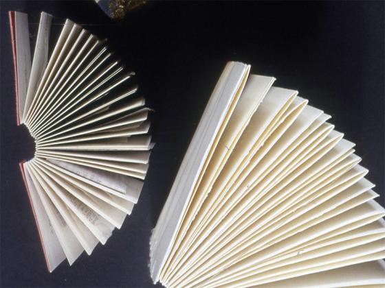 Books with pages fanned open.