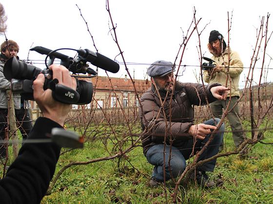 A film crew sets up at a vineyard.