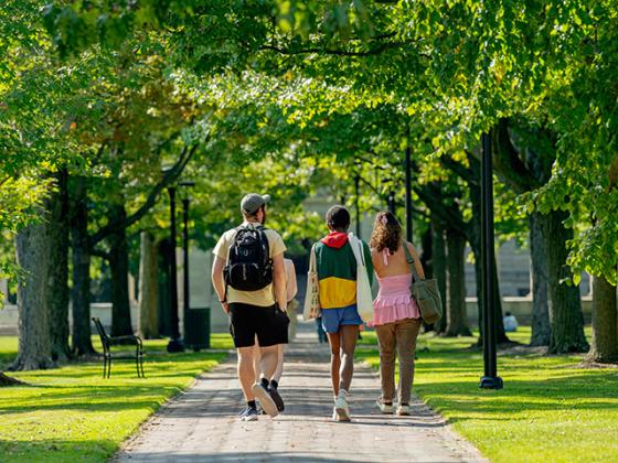 Students walk along a brick path under trees.
