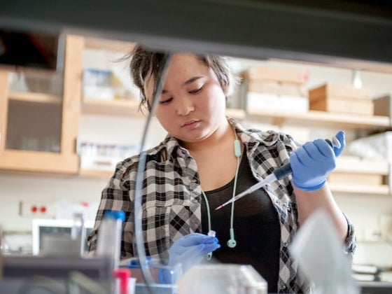 A student doing an experiment in the lab.