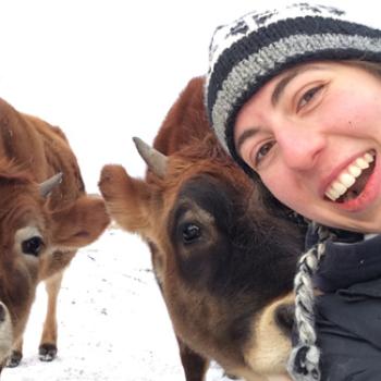 Emma takes a selfie with two calves on a winter day