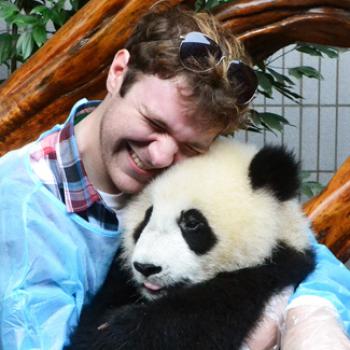 Jacob hugs a young panda