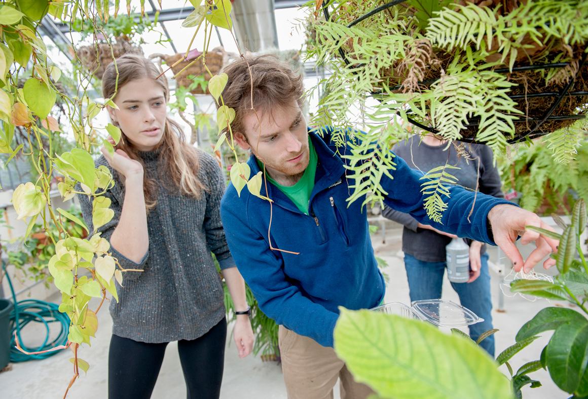Two students looking at plants in the greenhouse.