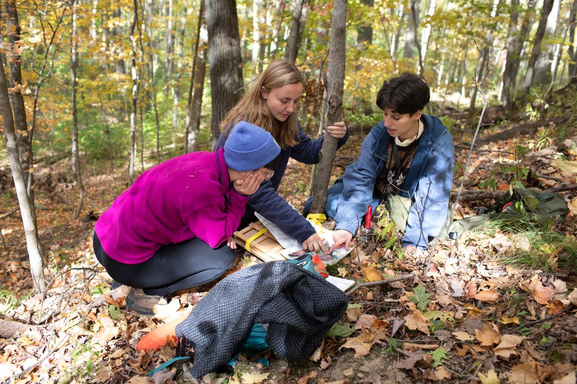 Three students crouch in the woods to examine something in the leaves.