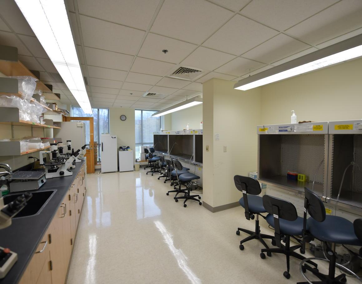 interior of lab wth benches and hoods to protect researchA laboratory used for the culturing of, research into, and analysis of various cellular samples.