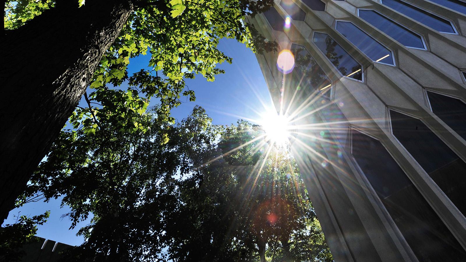 Looking up at the sky; the bright sun is partially blocked by Bibbins Hall and a tree.
