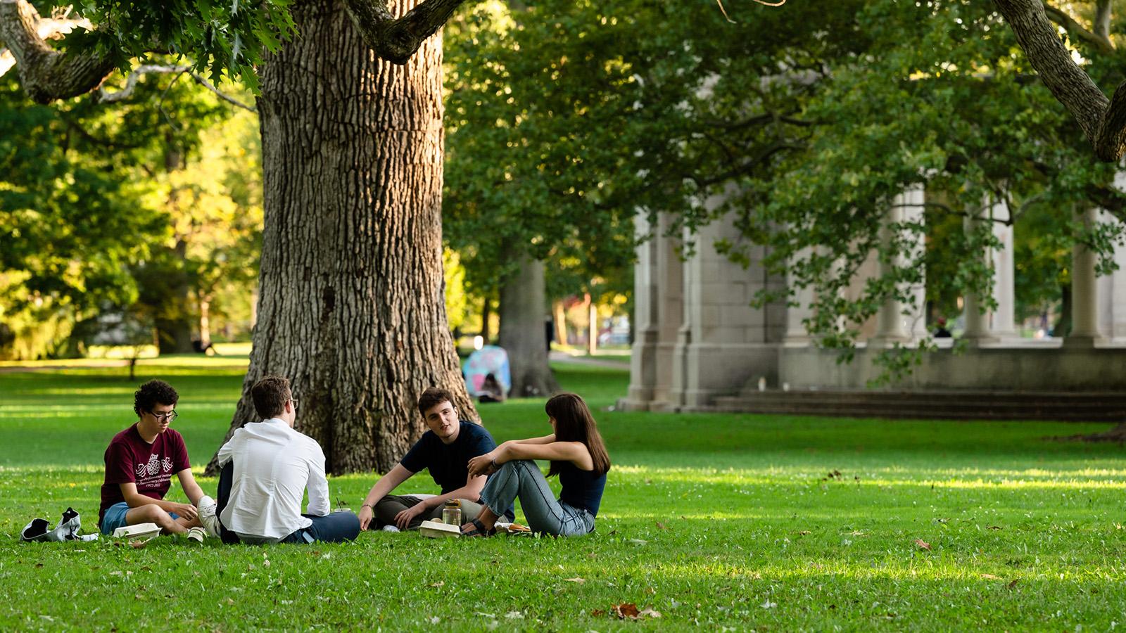 A small group of students sits in the grass under the shade of a large, old tree.