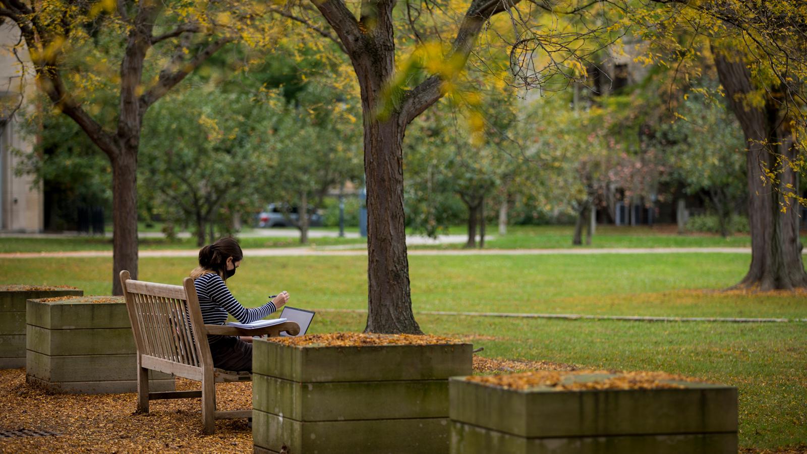 Campus scene with trees, grass, and a lone student on a bench reading.
