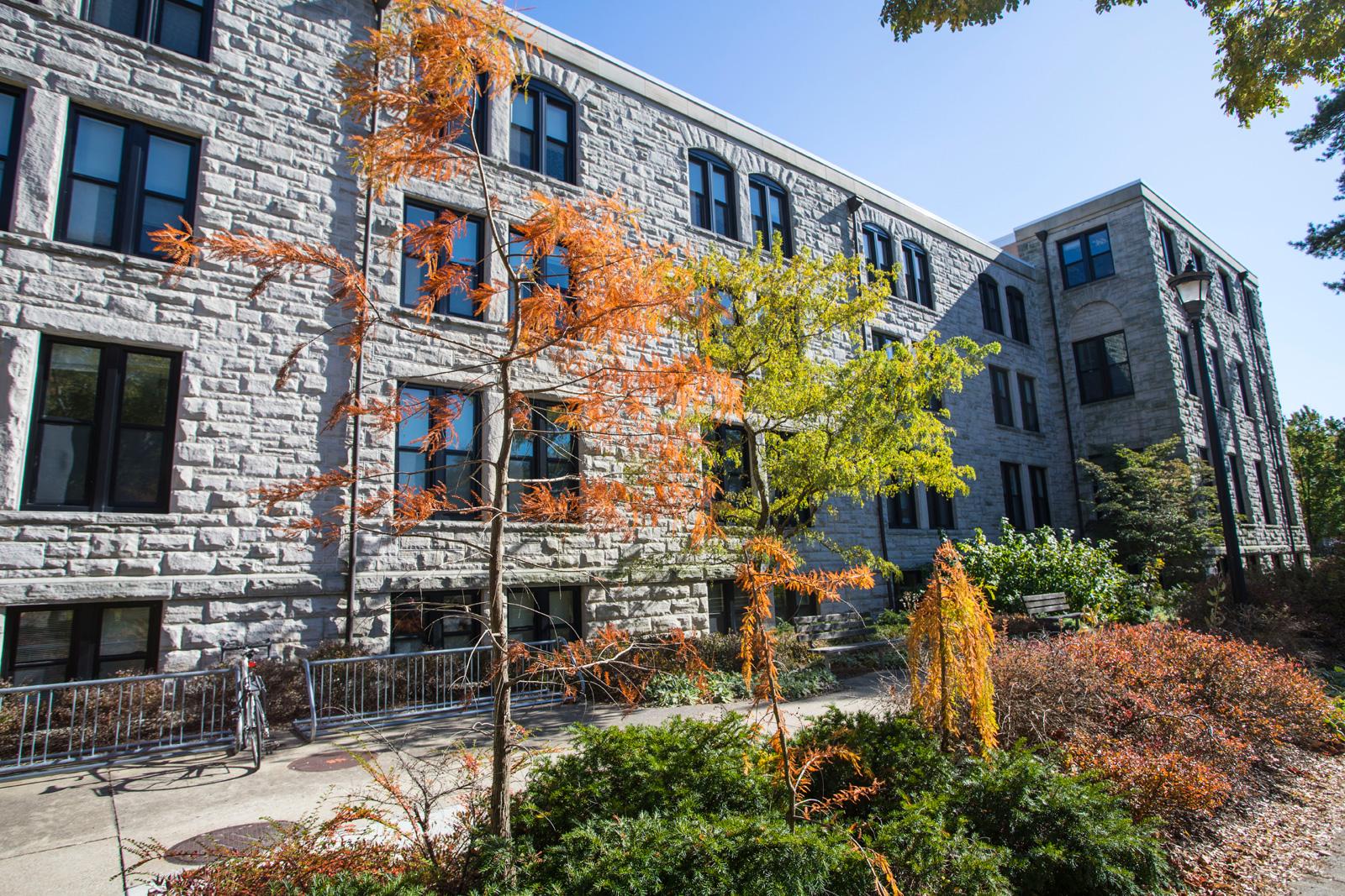 The stone facade of Rice Hall faces young trees and a bike rack.