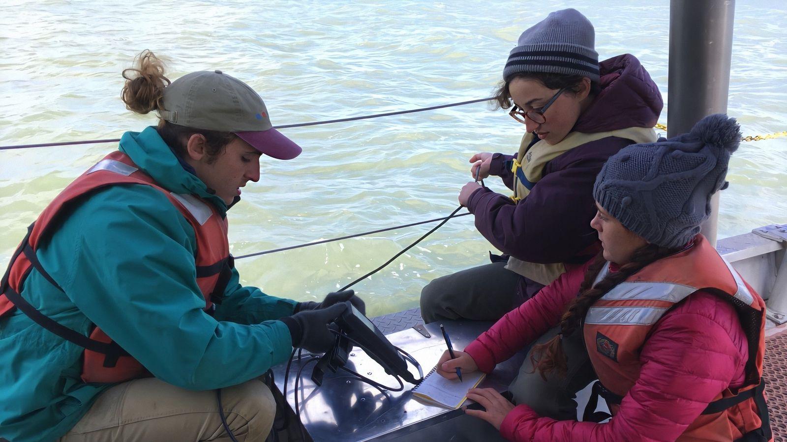 Students conducting research on a boat.