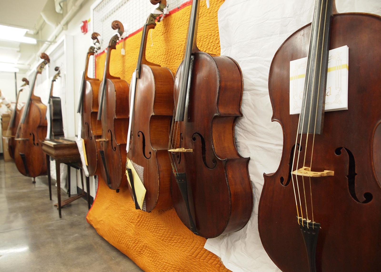 Several cellos are exhibited along a corridor wall.