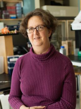 Photo of Laura Romberg