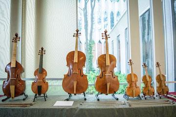 row of different sized cellos and basses.