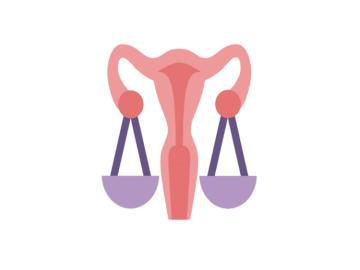 image of reproductive anatomy and scales of justice