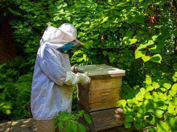 A person in beekeeping attire inspects a wooden box in a garden.